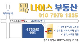나이스공인중개사사무소