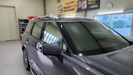 솔라가드 노블레스 글로벌리맥 티나인 에이비클 비주얼카