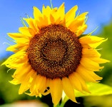 미사퍼스트 공인중개사사무소