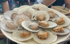 대포항생선찜본점