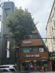 파인트리빌딩