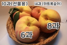 조치원복숭아 참새골농원