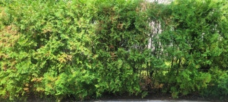 판교역푸르지오그랑블 공인중개사사무소