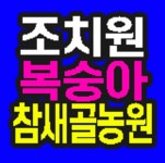 조치원복숭아 참새골농원