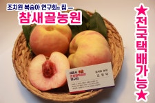조치원복숭아 참새골농원