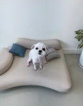 달코살롱