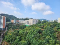 골드공인중개사사무소