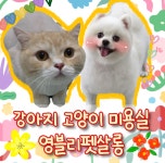 영블리 펫 살롱