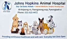 존스홉킨스동물병원