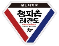 환서 용인대 챔피온 태권도