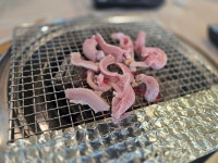 필이네산꼼장어