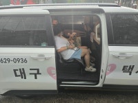 대구펫택시