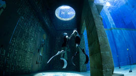 에스에이치헬스케어