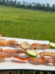 논바다