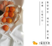 돌담프룻