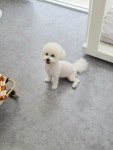 히히그루밍