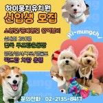하이뭉치유치원