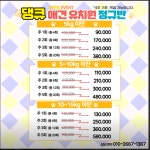댕큐 애견유치원&애견호텔