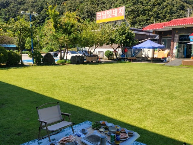 금남멧돼지