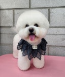 우리몽