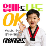 대영태권도