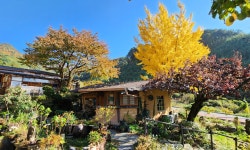 주주산방