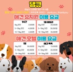 댕큐 애견유치원&애견호텔