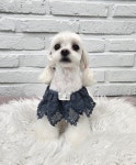 우리몽
