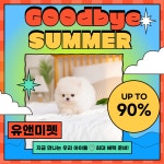 유앤미펫 강아지분양 고양이분양 용인점