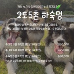 도그캠프 김포점