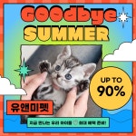 유앤미펫 인천본점