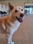 양주복독방