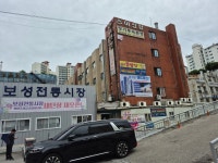 아성장