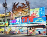 구룡포 영일만회대게