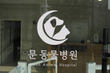 문동물병원