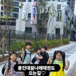 용인대꿈나래태권도