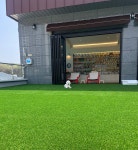 꿈펫