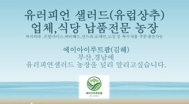 에이아이루트팜