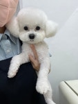 멍나들이