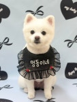 멍동이네