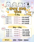 멍누리 반려견유치원