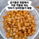 감누리마을 농촌체험휴양마을