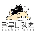 고양이전문 달루나캣츠 잠실본점