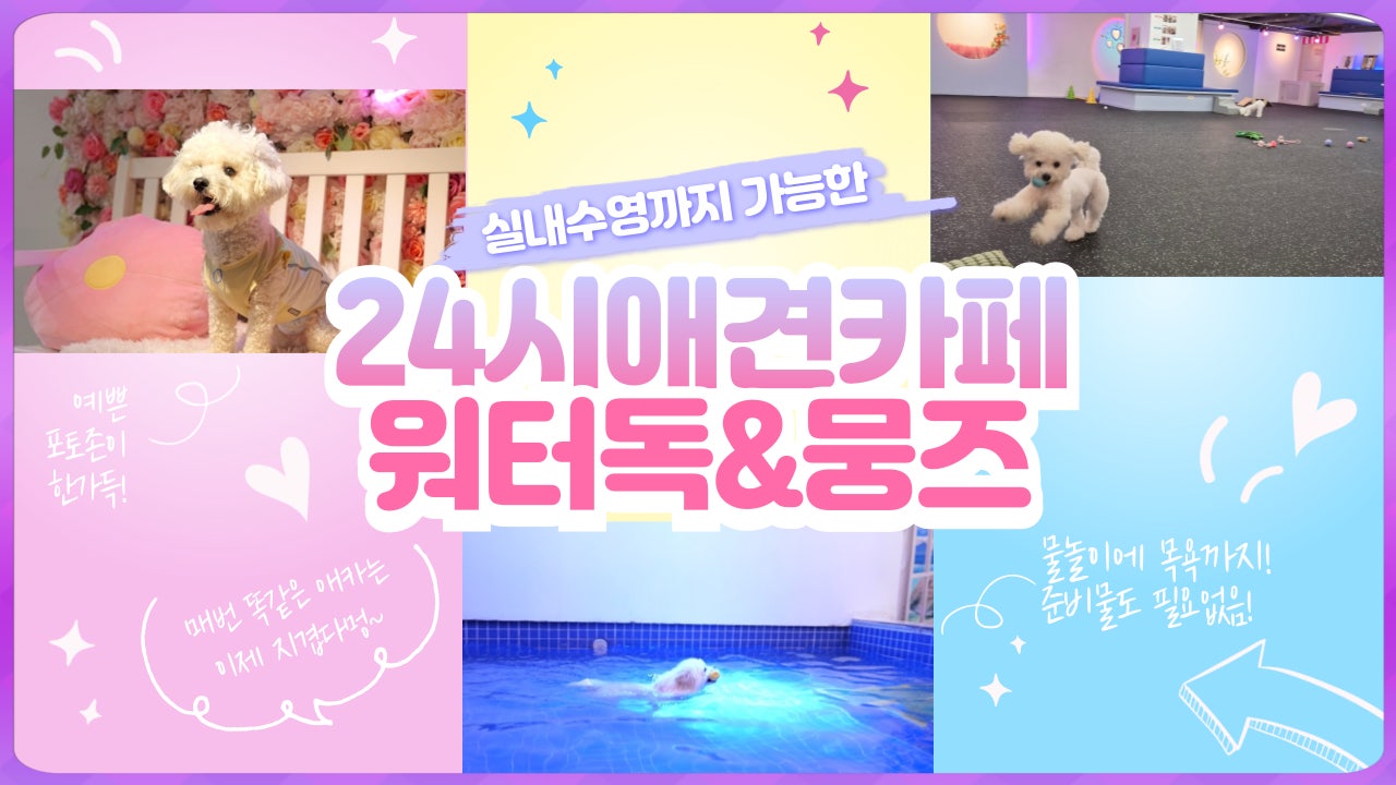 워터독 부천역점