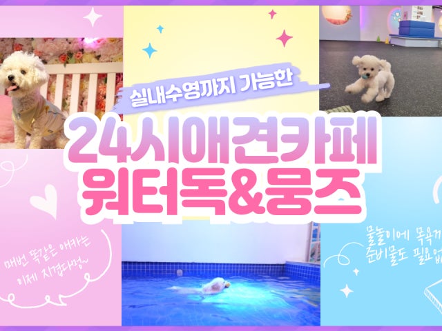 워터독 부천역점
