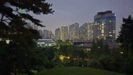 황금공인중개사사무소