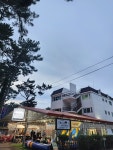 몽산142