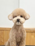 멍동이네