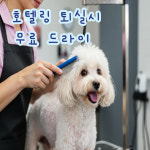 프렌즈도그 호텔 광주 서구점