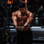 파라다이스짐 더 프리미엄